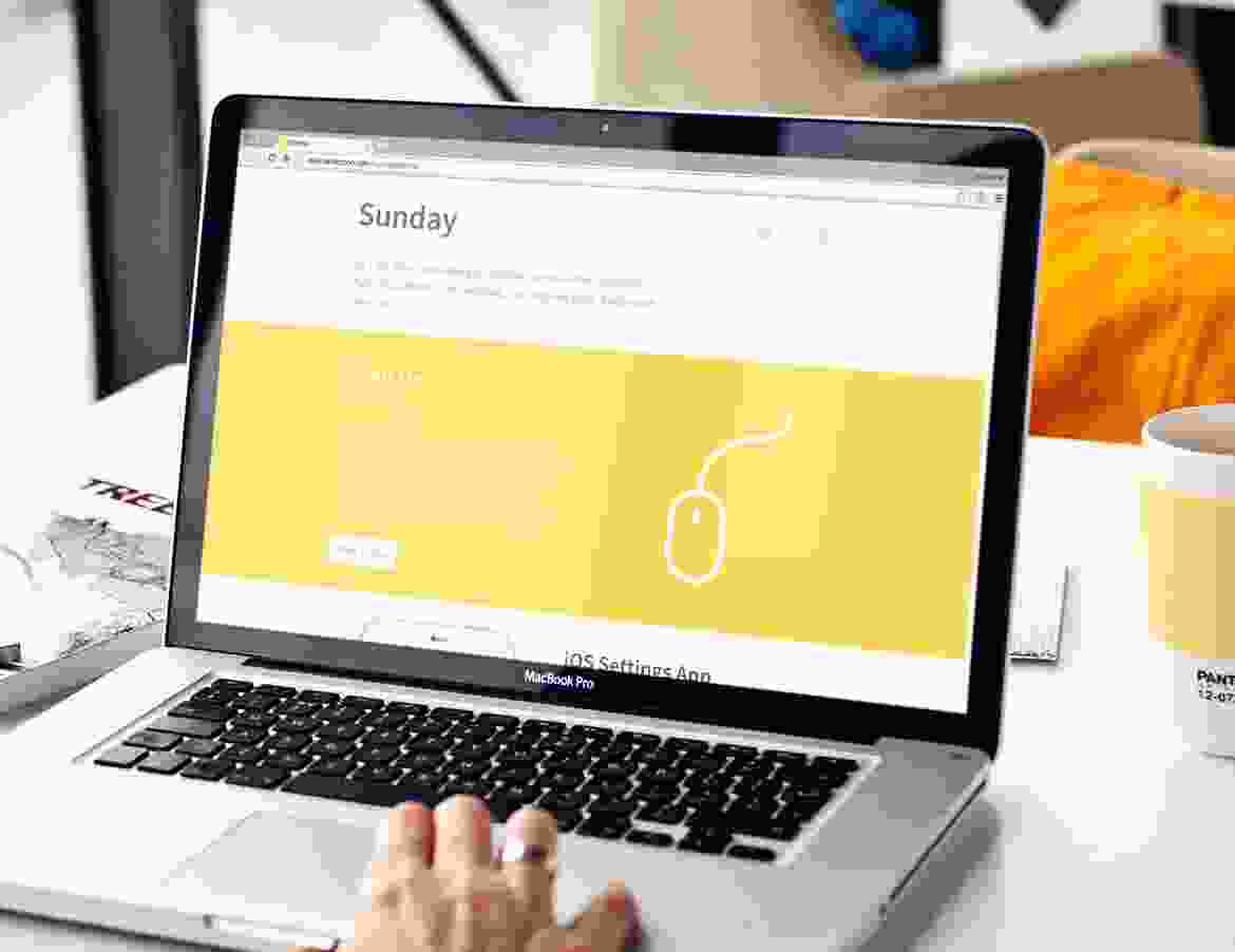 Duis fermentum felis